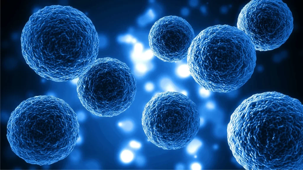 The Importance of Sterilization Assurance in Modern Healthcare